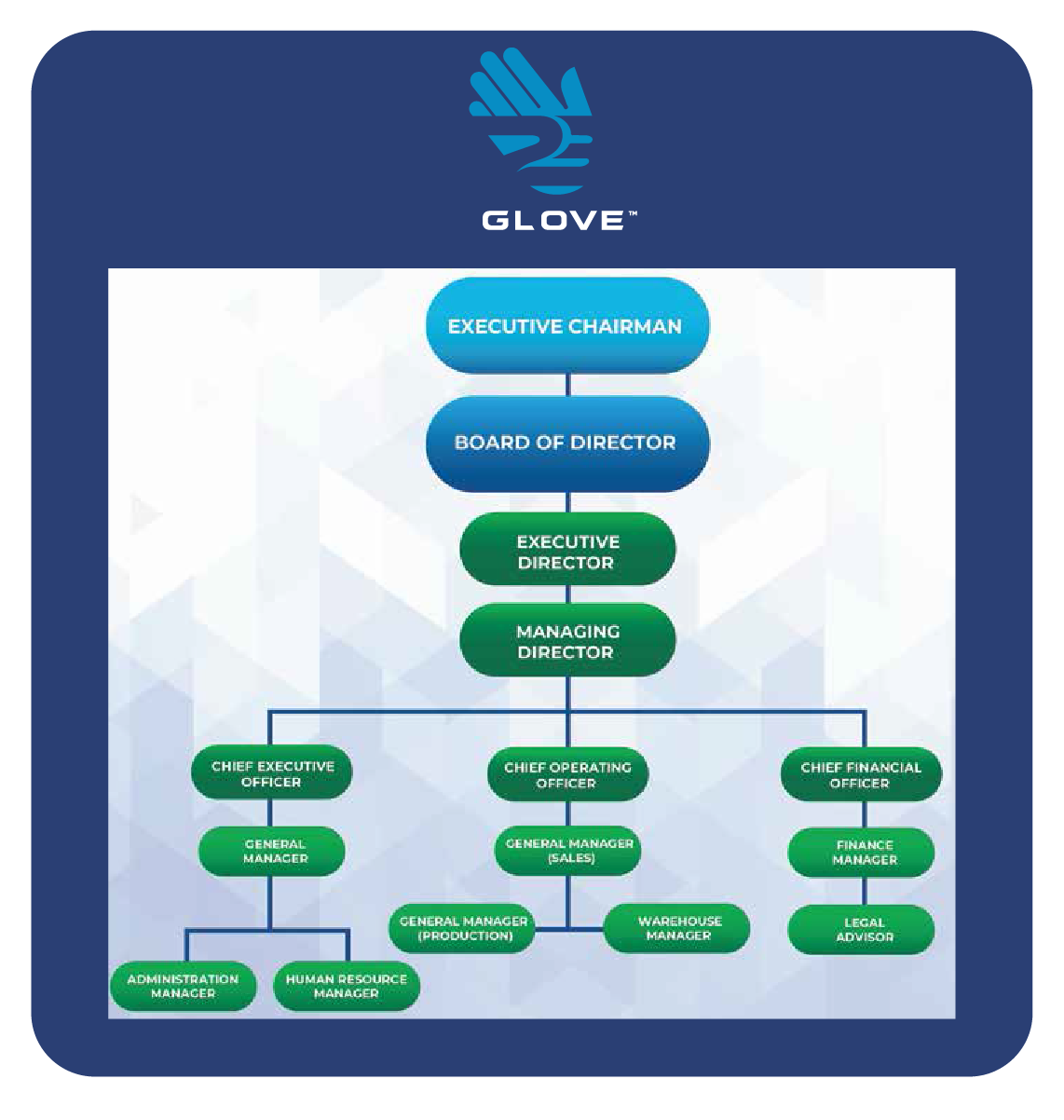 23 Glove Profile-02